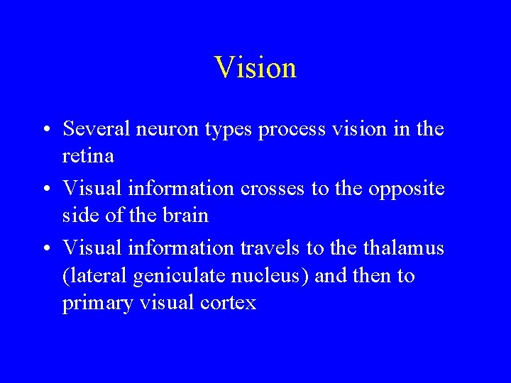 Vision • Several neuron types process vision in the retina • Visual information crosses