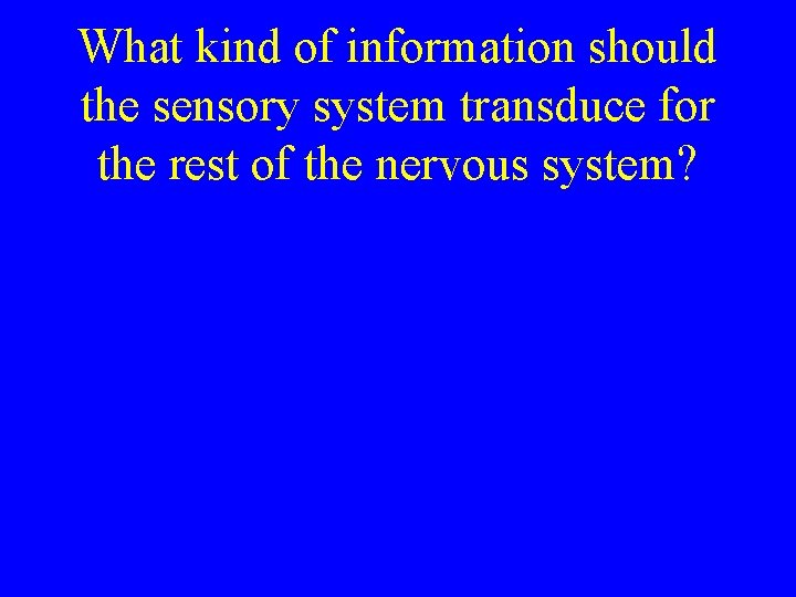 What kind of information should the sensory system transduce for the rest of the