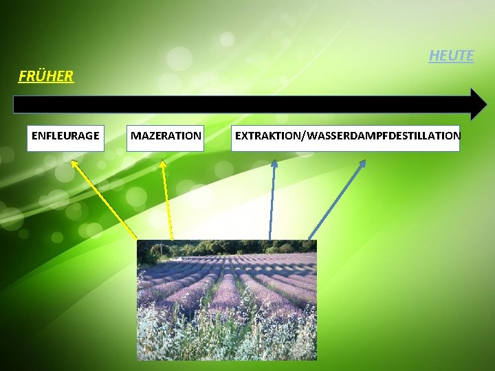 HEUTE FRÜHER ENFLEURAGE MAZERATION EXTRAKTION/WASSERDAMPFDESTILLATION 