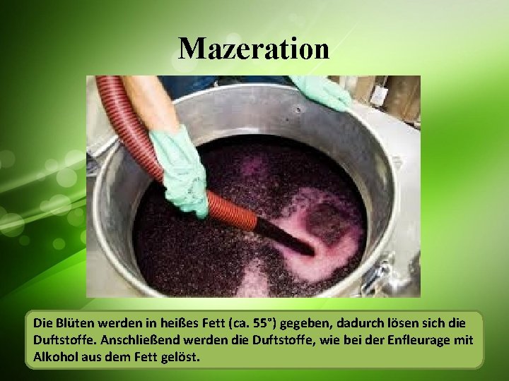 Mazeration Die Blüten werden in heißes Fett (ca. 55°) gegeben, dadurch lösen sich die