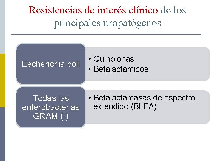 Resistencias de interés clínico de los principales uropatógenos • Quinolonas Escherichia coli • Betalactámicos