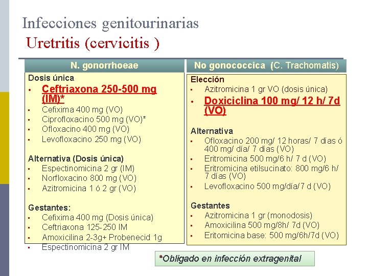 azitromicina para infección urinaria dosis