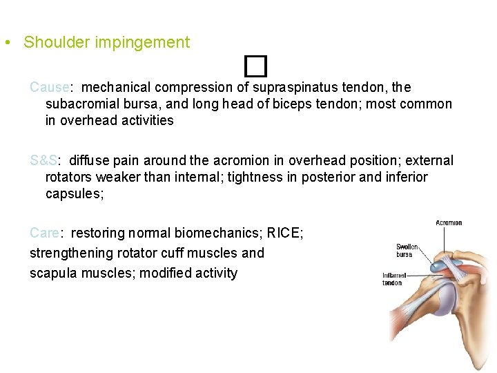  • Shoulder impingement � Cause: mechanical compression of supraspinatus tendon, the subacromial bursa,