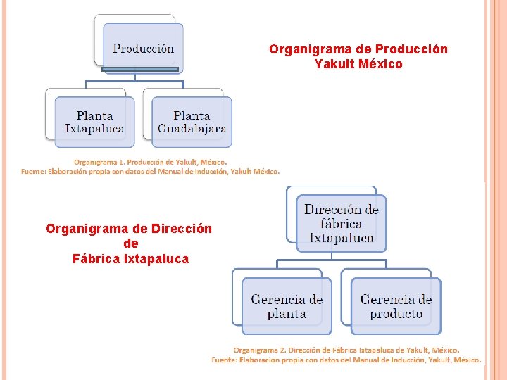 Organigrama de Producción Yakult México Organigrama de Dirección de Fábrica Ixtapaluca Organigrama de Producción Yakult México Organigrama de Dirección de Fábrica Ixtapaluca