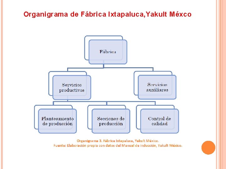 Organigrama de Fábrica Ixtapaluca, Yakult Méxco Organigrama de Fábrica Ixtapaluca, Yakult Méxco