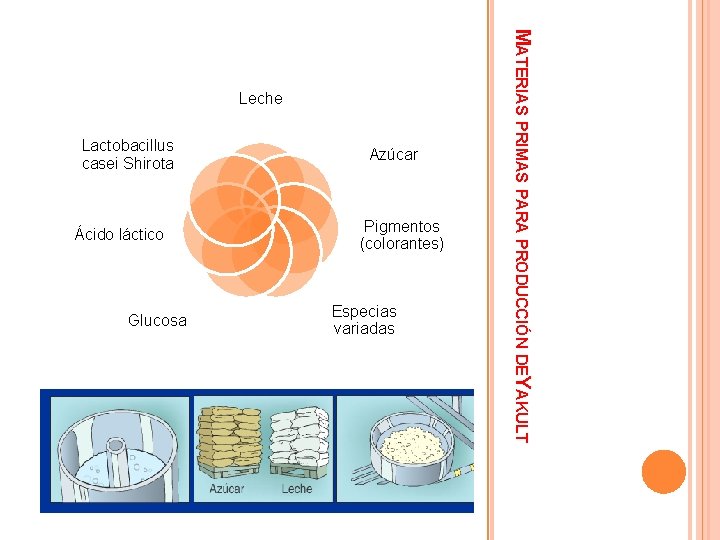 Lactobacillus casei Shirota Ácido láctico Glucosa Azúcar Pigmentos (colorantes) Especias variadas MATERIAS PRIMAS PARA Lactobacillus casei Shirota Ácido láctico Glucosa Azúcar Pigmentos (colorantes) Especias variadas MATERIAS PRIMAS PARA