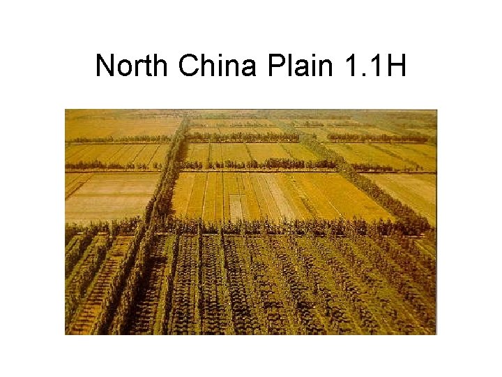North China Plain 1. 1 H 
