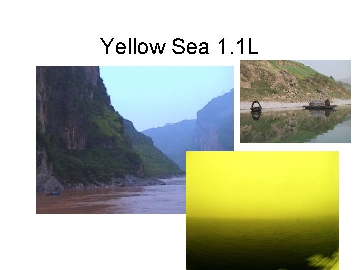 Yellow Sea 1. 1 L 
