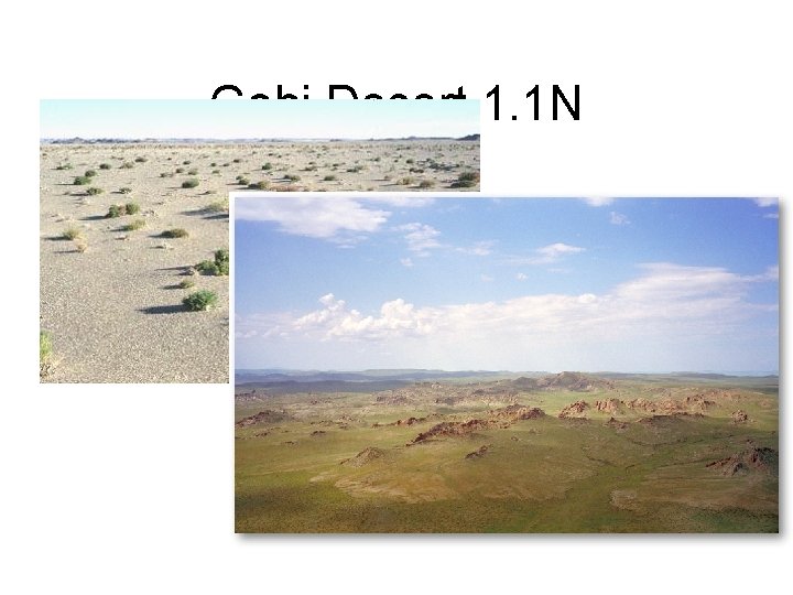 Gobi Desert 1. 1 N 