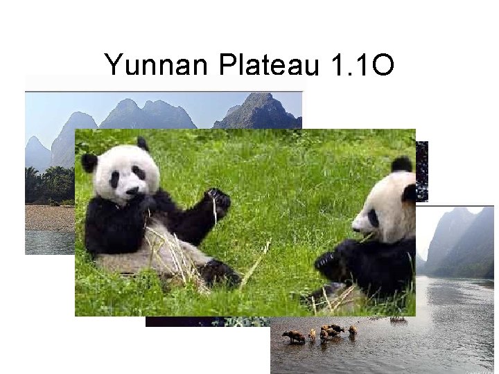 Yunnan Plateau 1. 1 O 