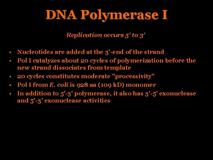 DNA Polymerase I Replication occurs 5' to 3' • Nucleotides are added at the