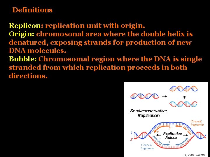 Definitions Replicon: replication unit with origin. Origin: chromosonal area where the double helix is