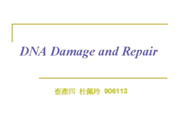 DNA Damage and Repair 畜產四 杜佩玲 906113 