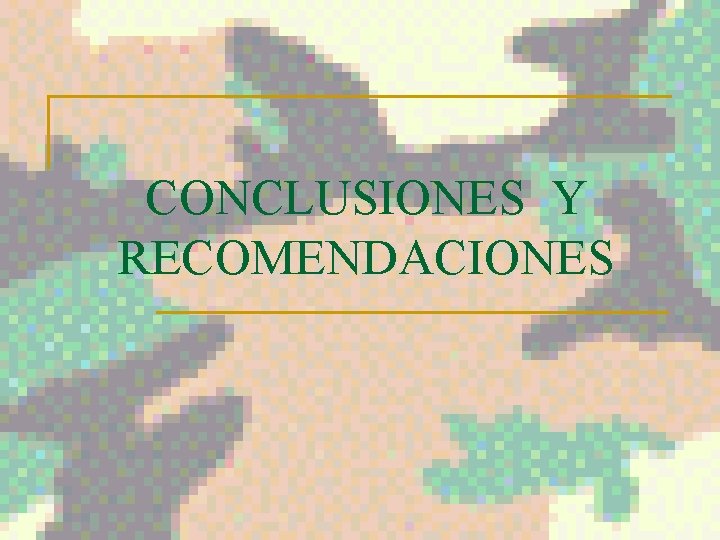 CONCLUSIONES Y RECOMENDACIONES 