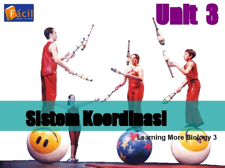 Unit 3 Sistem Koordinasi Learning More Biology 3 