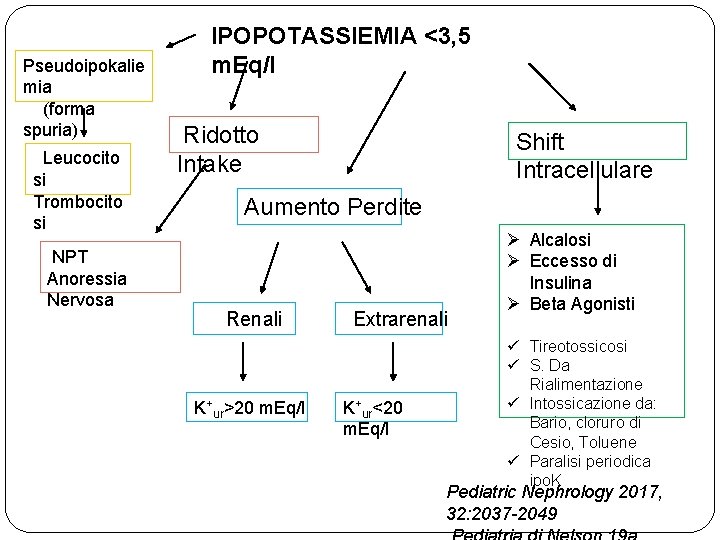 Pseudoipokalie mia (forma spuria) Leucocito si Trombocito si NPT Anoressia Nervosa IPOPOTASSIEMIA <3, 5