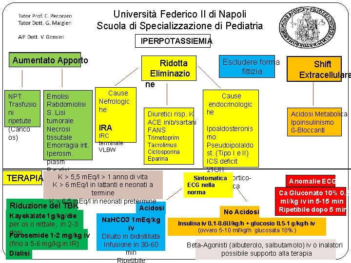 Università Federico II di Napoli Scuola di Specializzazione di Pediatria IPERPOTASSIEMIA Aumentato Apporto Ridotta