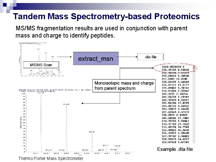 Tandem Mass Spectrometry-based Proteomics MS/MS fragmentation results are used in conjunction with parent mass