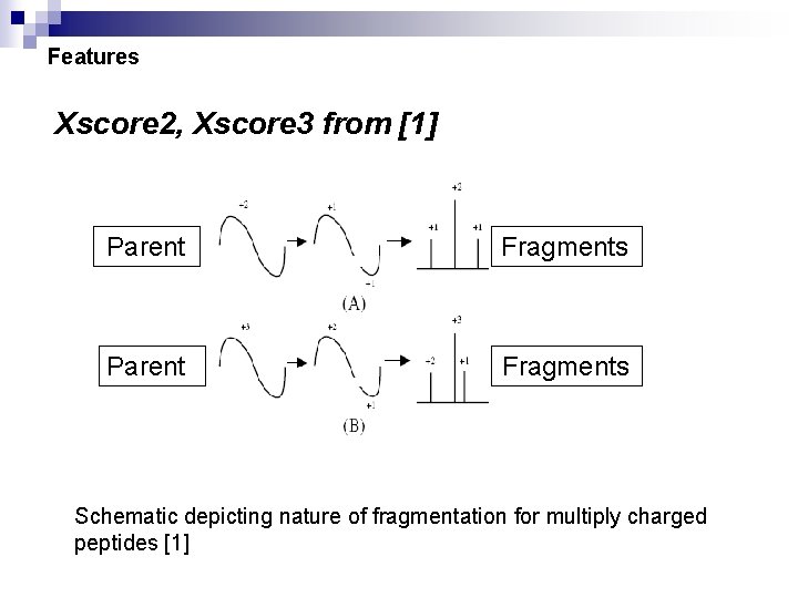 Features Xscore 2, Xscore 3 from [1] Parent Fragments Schematic depicting nature of fragmentation