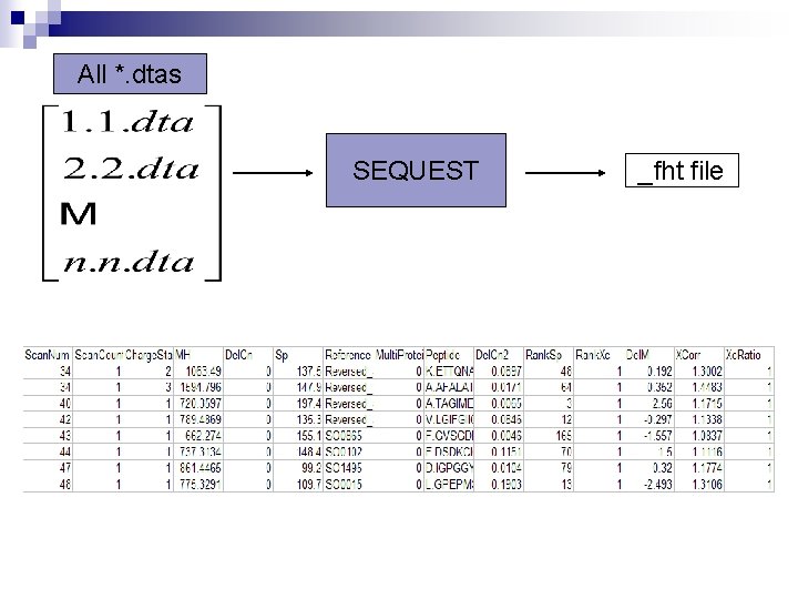 All *. dtas SEQUEST _fht file 