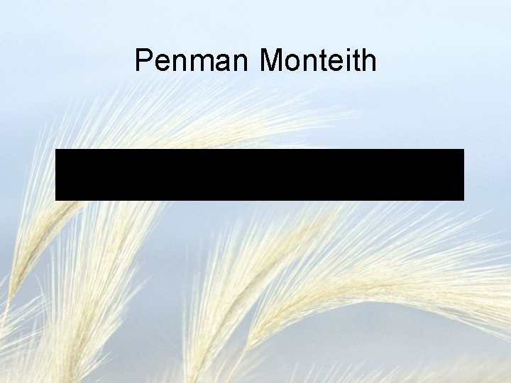 Penman Monteith 