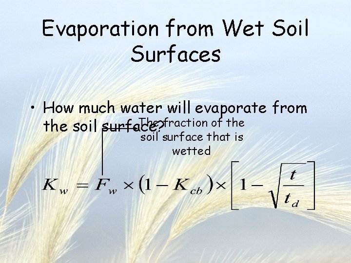 Evaporation from Wet Soil Surfaces • How much water will evaporate from The fraction