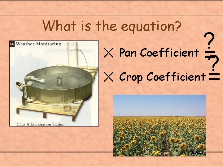 What is the equation? ? ´ Pan Coefficient = ? ´ Crop Coefficient =