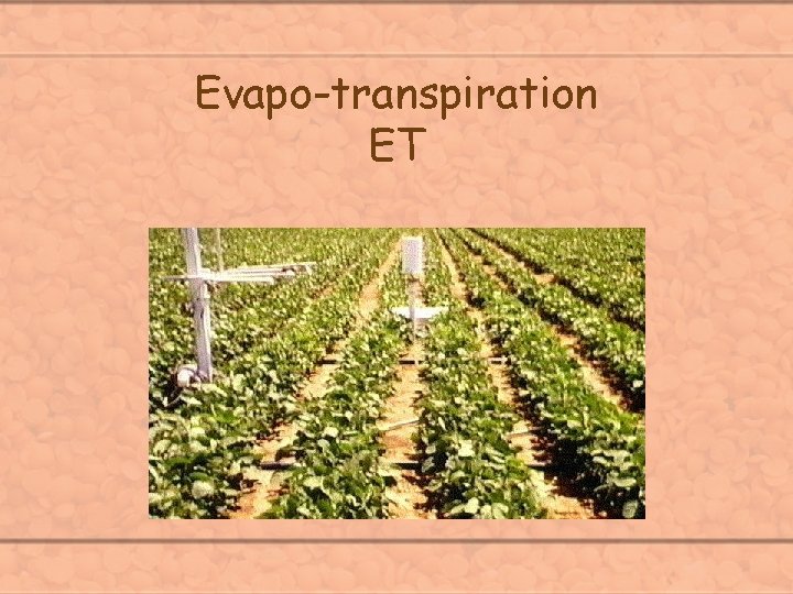 Evapo-transpiration ET 