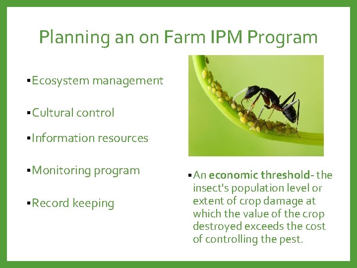 Planning an on Farm IPM Program § Ecosystem management § Cultural control § Information