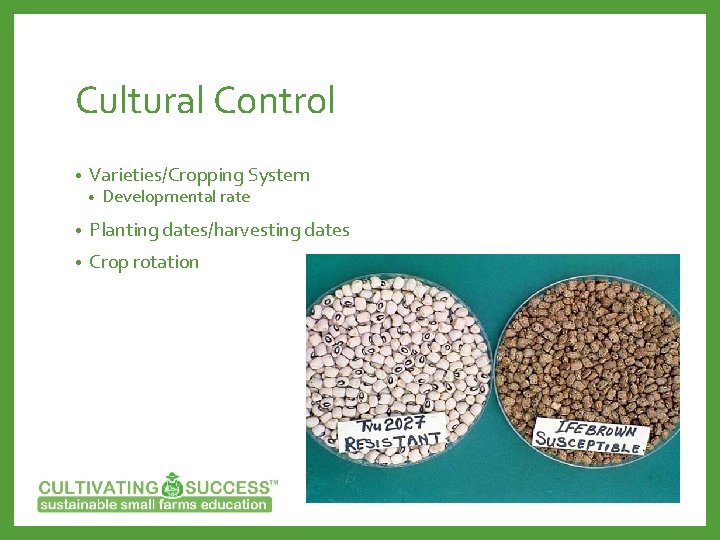 Cultural Control • Varieties/Cropping System • Developmental rate • Planting dates/harvesting dates • Crop