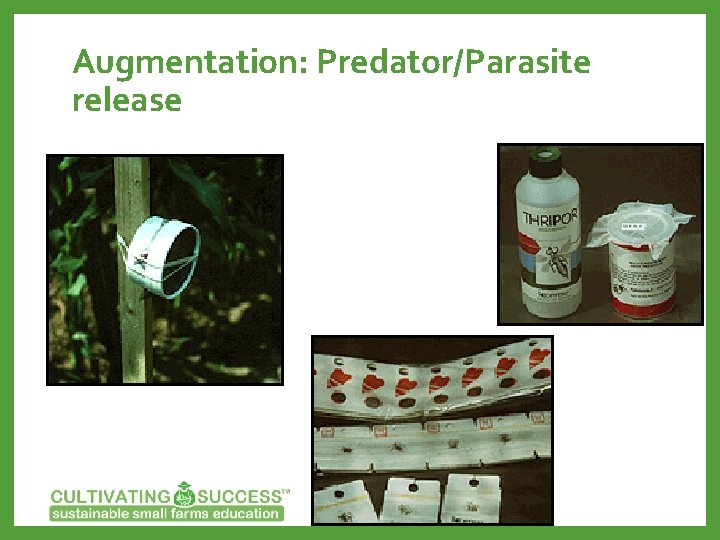 Augmentation: Predator/Parasite release 