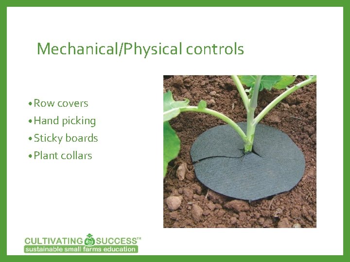 Mechanical/Physical controls • Row covers • Hand picking • Sticky boards • Plant collars