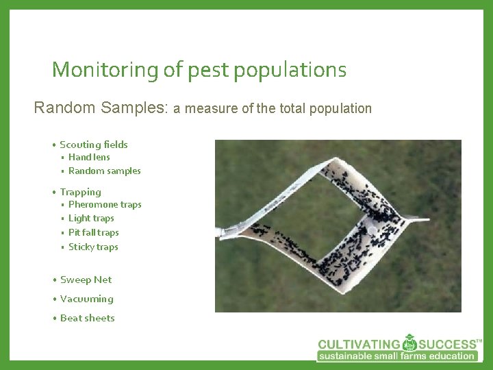 Monitoring of pest populations Random Samples: a measure of the total population • Scouting