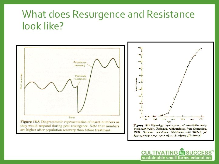 What does Resurgence and Resistance look like? 
