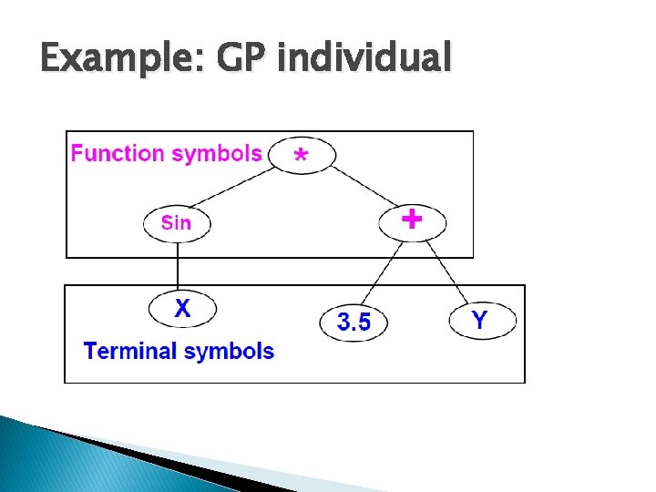 Example: GP individual 