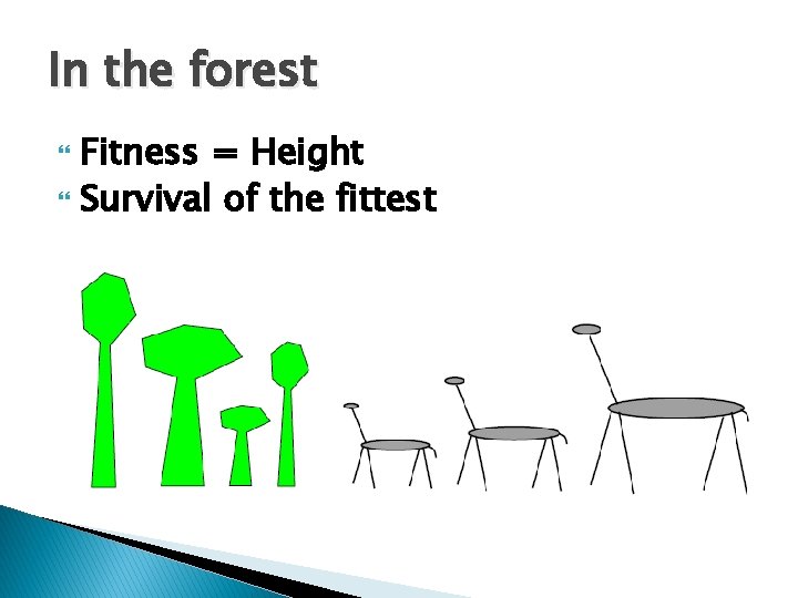 In the forest Fitness = Height Survival of the fittest 