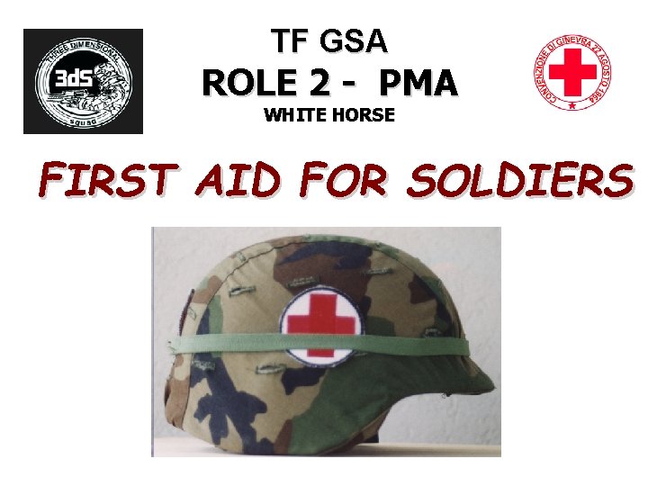 TF GSA ROLE 2 - PMA WHITE HORSE FIRST AID FOR SOLDIERS 