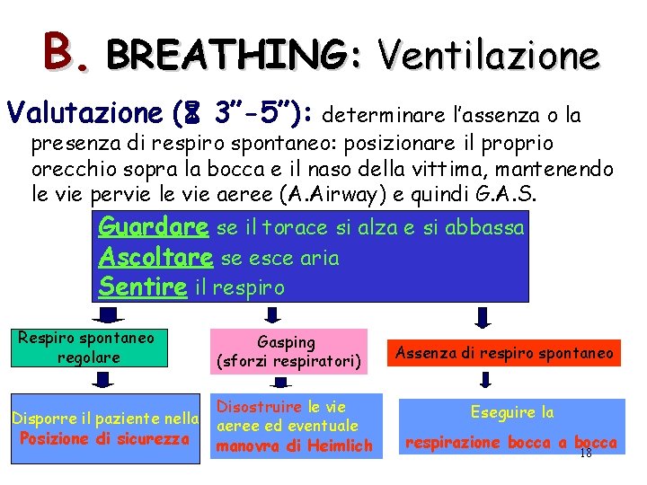 B. BREATHING: Ventilazione Valutazione ( 3”-5”): determinare l’assenza o la presenza di respiro spontaneo: