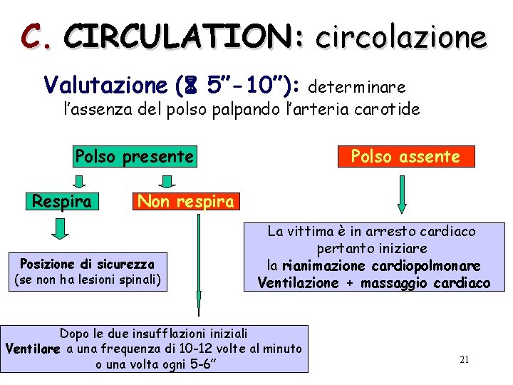 C. CIRCULATION: circolazione Valutazione ( 5”-10”): determinare l’assenza del polso palpando l’arteria carotide Polso