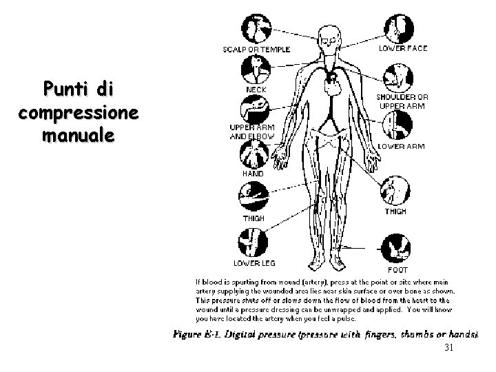 Punti di compressione manuale 31 