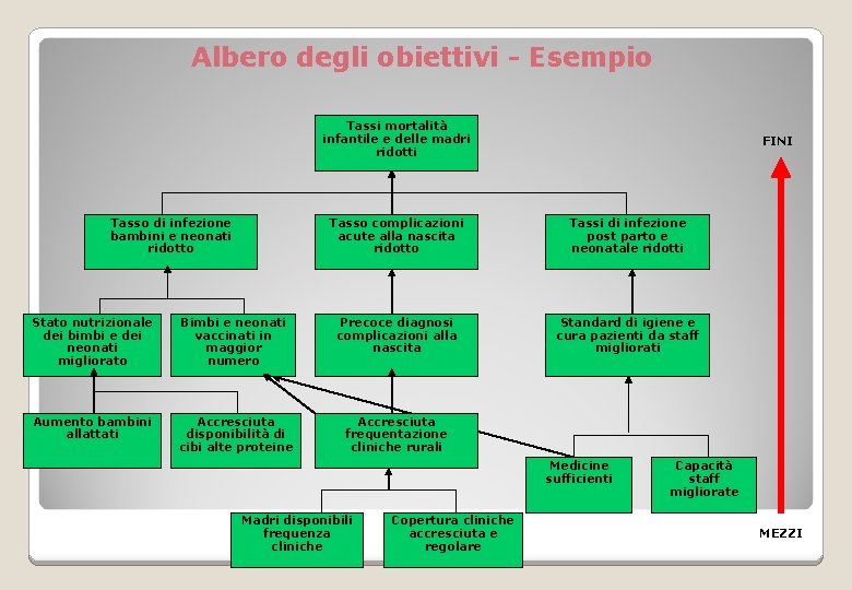 Albero degli obiettivi - Esempio Tassi mortalità infantile e delle madri ridotti Tasso di