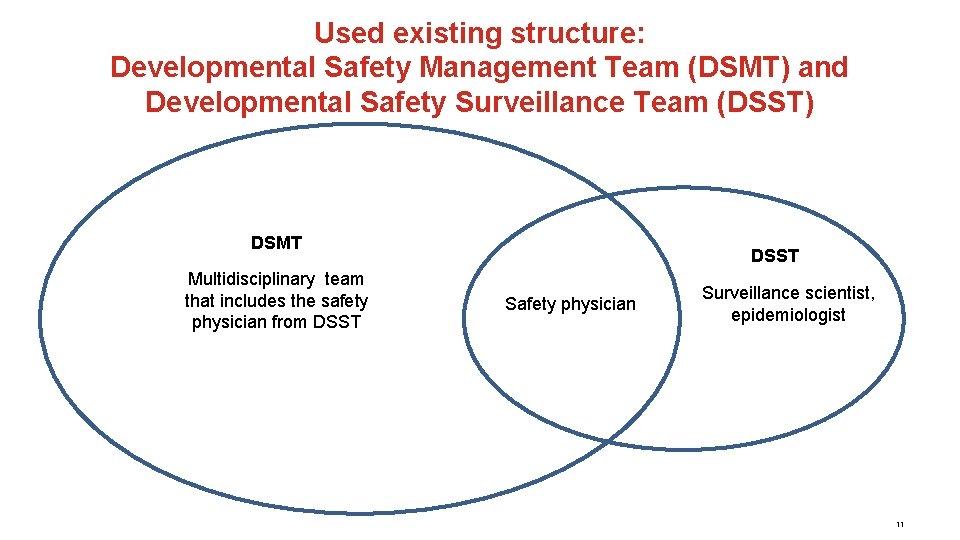 Used existing structure: Developmental Safety Management Team (DSMT) and Developmental Safety Surveillance Team (DSST)