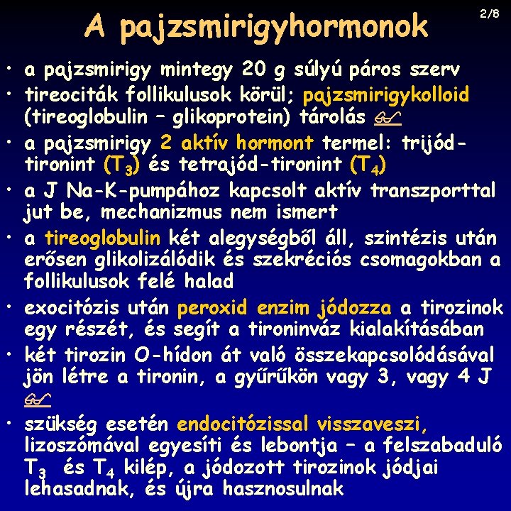 A pajzsmirigyhormonok 2/8 • a pajzsmirigy mintegy 20 g súlyú páros szerv • tireociták