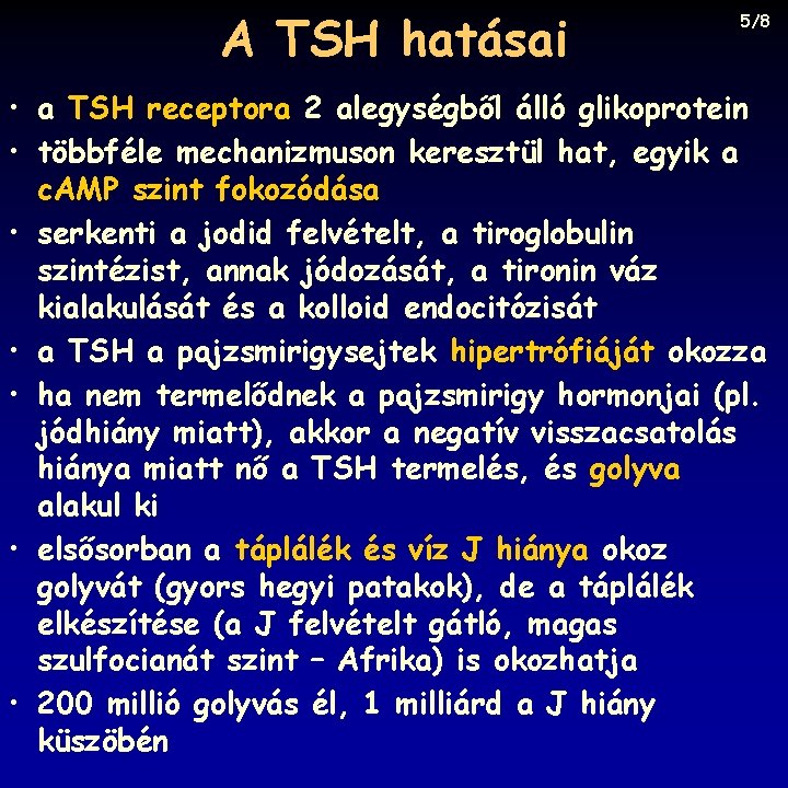 A TSH hatásai 5/8 • a TSH receptora 2 alegységből álló glikoprotein • többféle