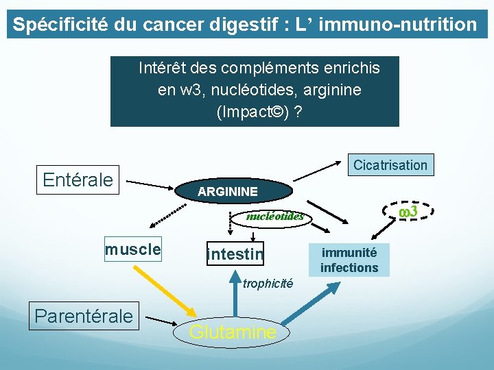 Spécificité du cancer digestif : L’ immuno-nutrition Intérêt des compléments enrichis en w 3,