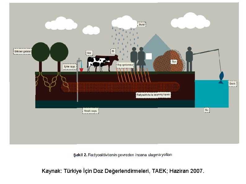Kaynak: Türkiye İçin Doz Değerlendirmeleri, TAEK; Haziran 2007. 