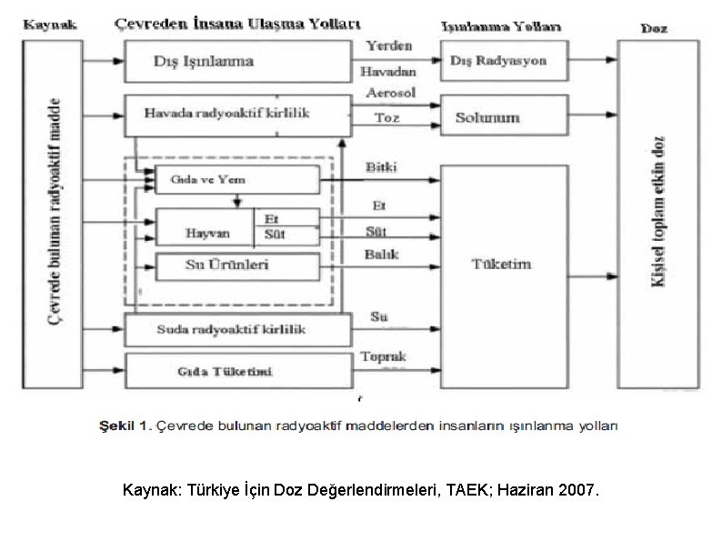 Kaynak: Türkiye İçin Doz Değerlendirmeleri, TAEK; Haziran 2007. 