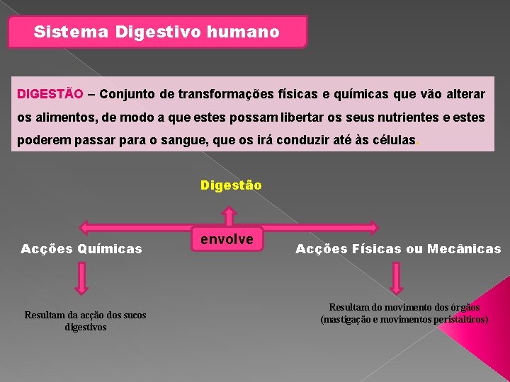Sistema Digestivo humano DIGESTÃO – Conjunto de transformações físicas e químicas que vão alterar