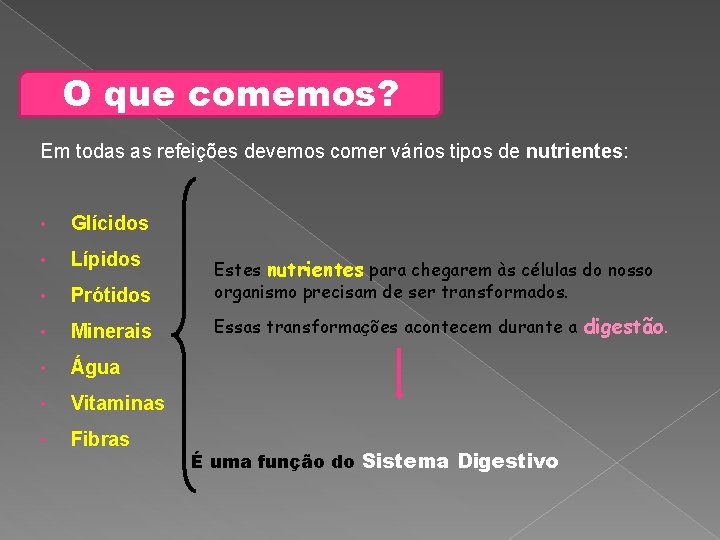 O que comemos? Em todas as refeições devemos comer vários tipos de nutrientes: •