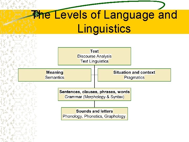 The Levels of Language and Linguistics 